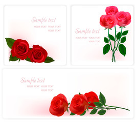 Beautiful red roses, vector illustration