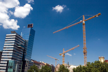 Fototapeta premium crane
