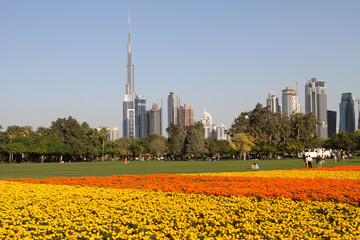 Naklejka premium Safa park in Dubai