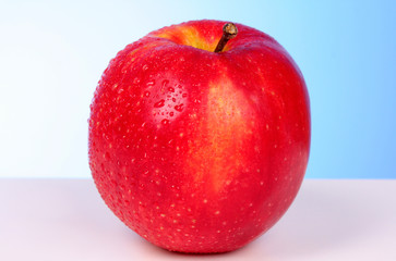 red apple  on blue background