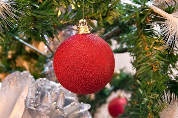 Boule de Noël rouge suspendue à une branche de sapin