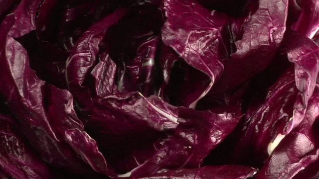 Radicchio Rosso