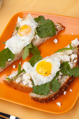Open-Faced Sandwich with Fried Egg