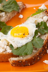 Open-Faced Sandwich with Fried Egg