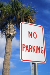 No parking under the palm