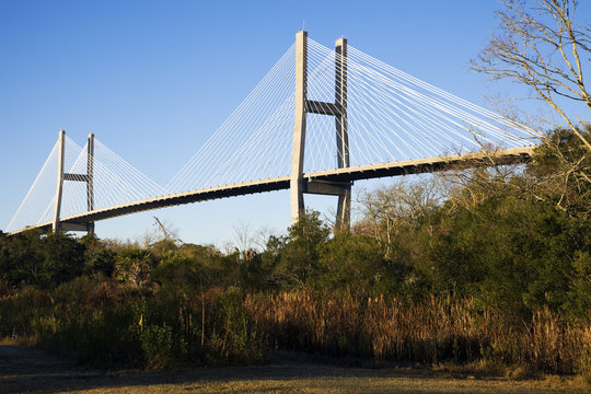 Talmadge Memorial Bridge