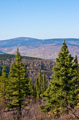 Ester Dome in Fall