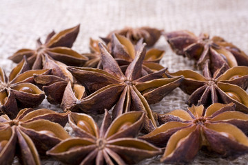 Anise Seeds