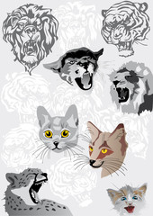 cats portraits illustration