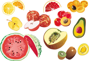 collection of fruits slices