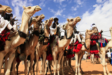 Festival Tamadacht au Mali