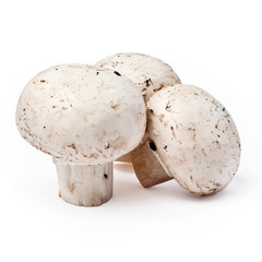three field mushroom isolated over white