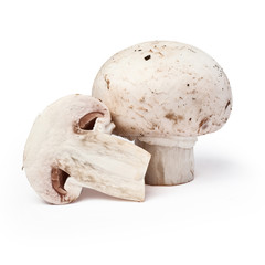 raw mushrooms isolated