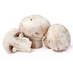 handful of raw mushrooms isolated on white background