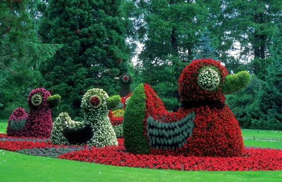 Blumentiere im Kinderland, Insel Mainau, Bodensee, Deutschland