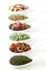 spices and herbs in porcelain spoons