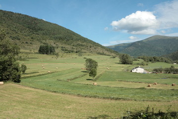 Prairie de fauche,Pyrénées audoises