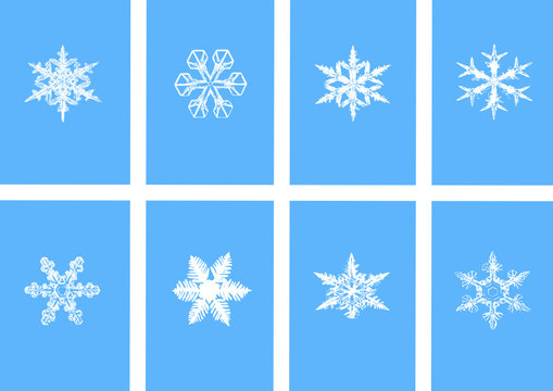Snowflakes ,Illustrator image