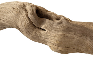 Driftwood on white 07