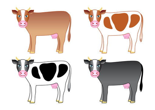 Collection of cows