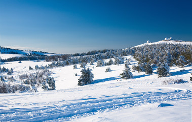 Fototapeta na wymiar Widok na dolinę Snowy