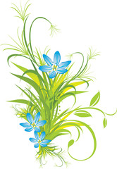 Fototapeta na wymiar Bouquet of blue flowers with grass. Vector