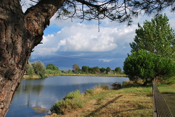 Small lake, Cervia, Ravenna, Italy
