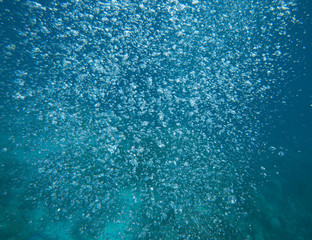 Coral reef in Egypt
