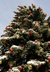 Weihnachtsbaum