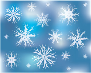 set of white vector snowflakes