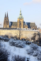 Fototapeta premium First Snow in Prague, gothic Castle with snowy Trees