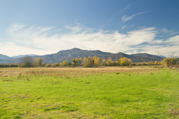 Fototapeta premium champs et montagnes