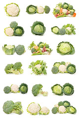 colección de repollo, coliflor y brócoli