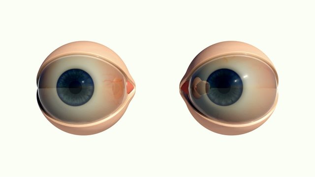 Eyes Only