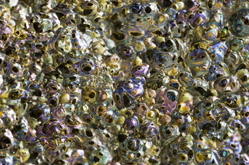 Macro background of porous lava rock with iridescent colors.