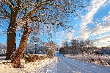 Papier Peint photo autocollant Hiver Winter in Scotland