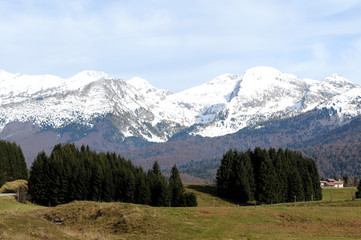 veduta dal cansiglio 395