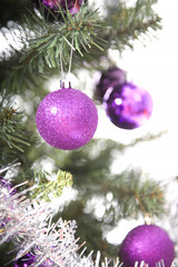 Fototapeta na wymiar Christmas tree in studio on white background