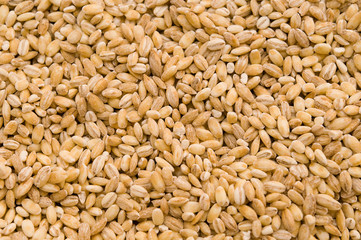 Pearl barley