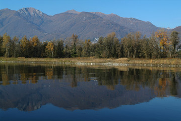 Delta del fiume Ticino a Magadino