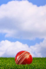 Cricket ball on grass