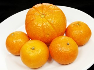 Citrus fruits on white plate towards dark background