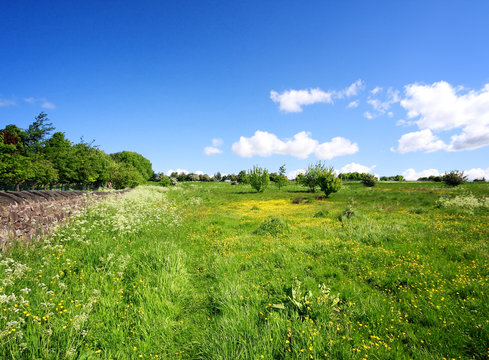 Spring landscape in Yorkshire