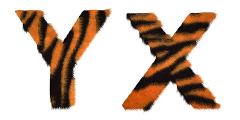 Tiger fell X and Y letters isolated