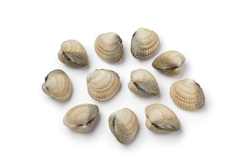 Whole fresh raw dog cockles on white background