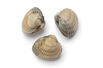 Whole fresh raw cockles