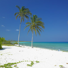 María la Gorda Beach, Pinar del Río Province, Cuba