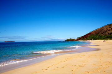 Fototapeta na wymiar Tropical beach with clear blue sky