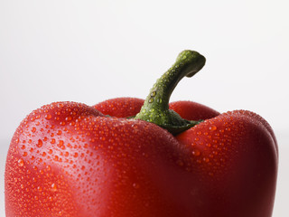 paprika