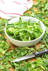 klein geschnittener Kohl und Messer